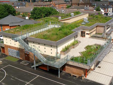 1 Sharrow School Green Roof 1