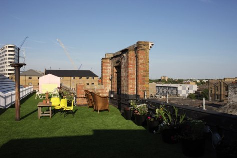 5 Dalston Roof Park 2 garden